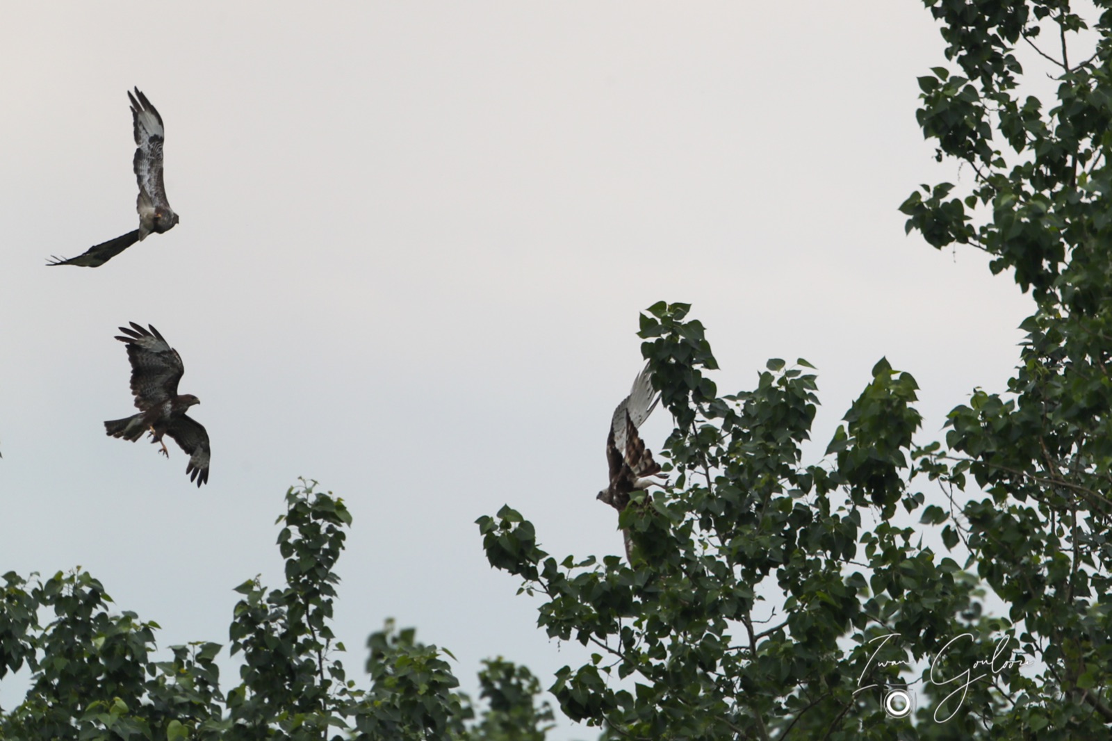 1DX46049 05 juni 2022 0942 40